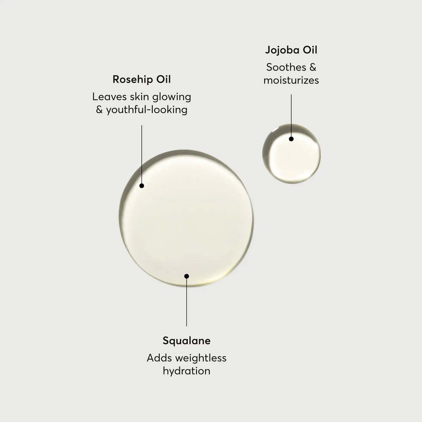 the-glow-getter-body-oil-a1 NATR-10115-Alt-Images-The-Glow-Getter-Body-Oil-01.webp