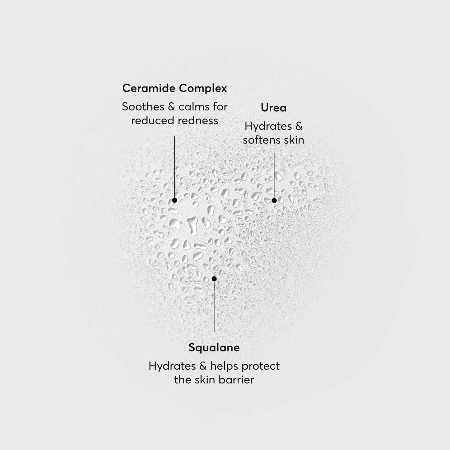 barrier-bounce-bi-phase-mist-e8 NATR-10167-Alt-Images-Barrier-Bounce-Bi-Phase-Toner-Mist_01.webp