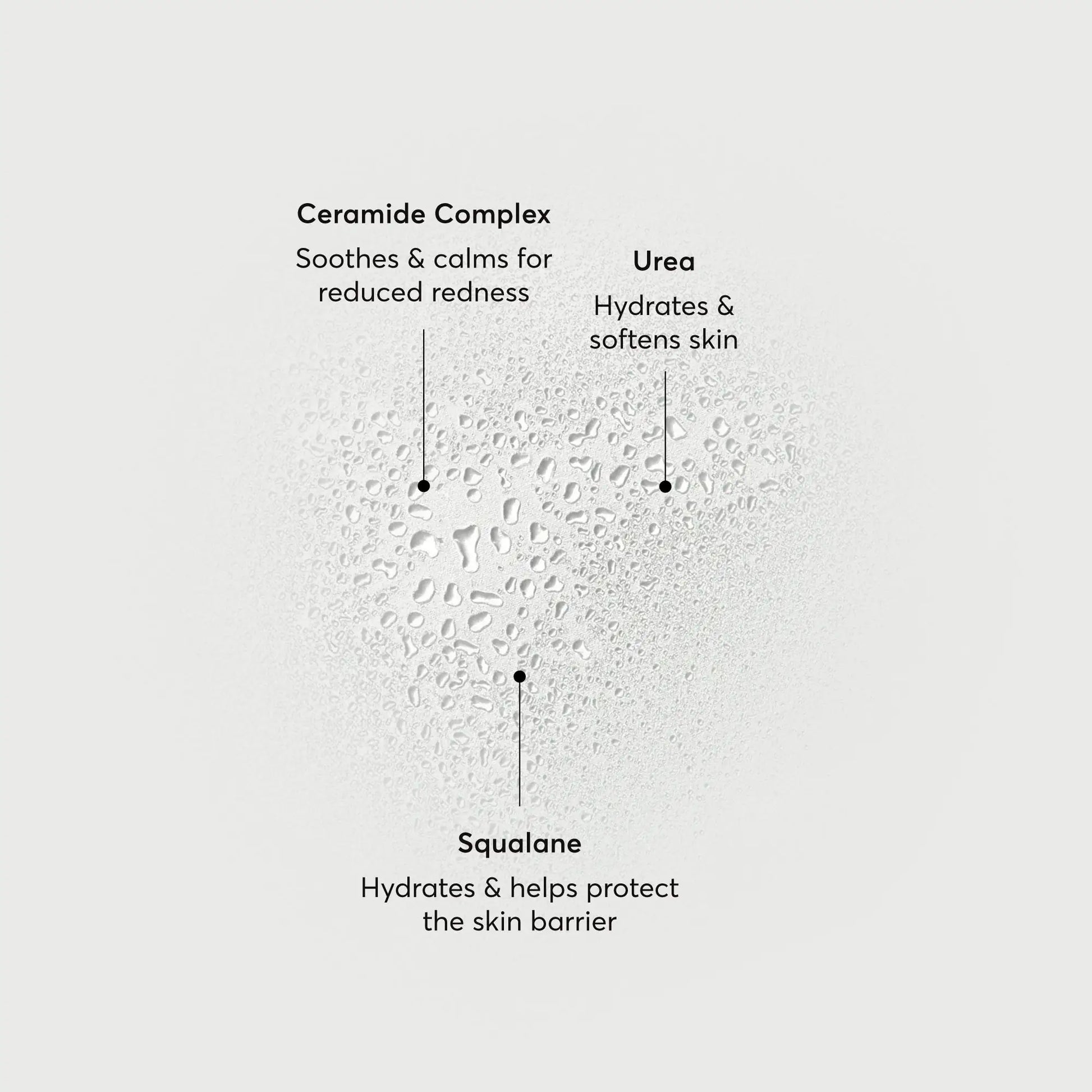 barrier-bounce-bi-phase-mist-e8 NATR-10167-Alt-Images-Barrier-Bounce-Bi-Phase-Toner-Mist_01.webp
