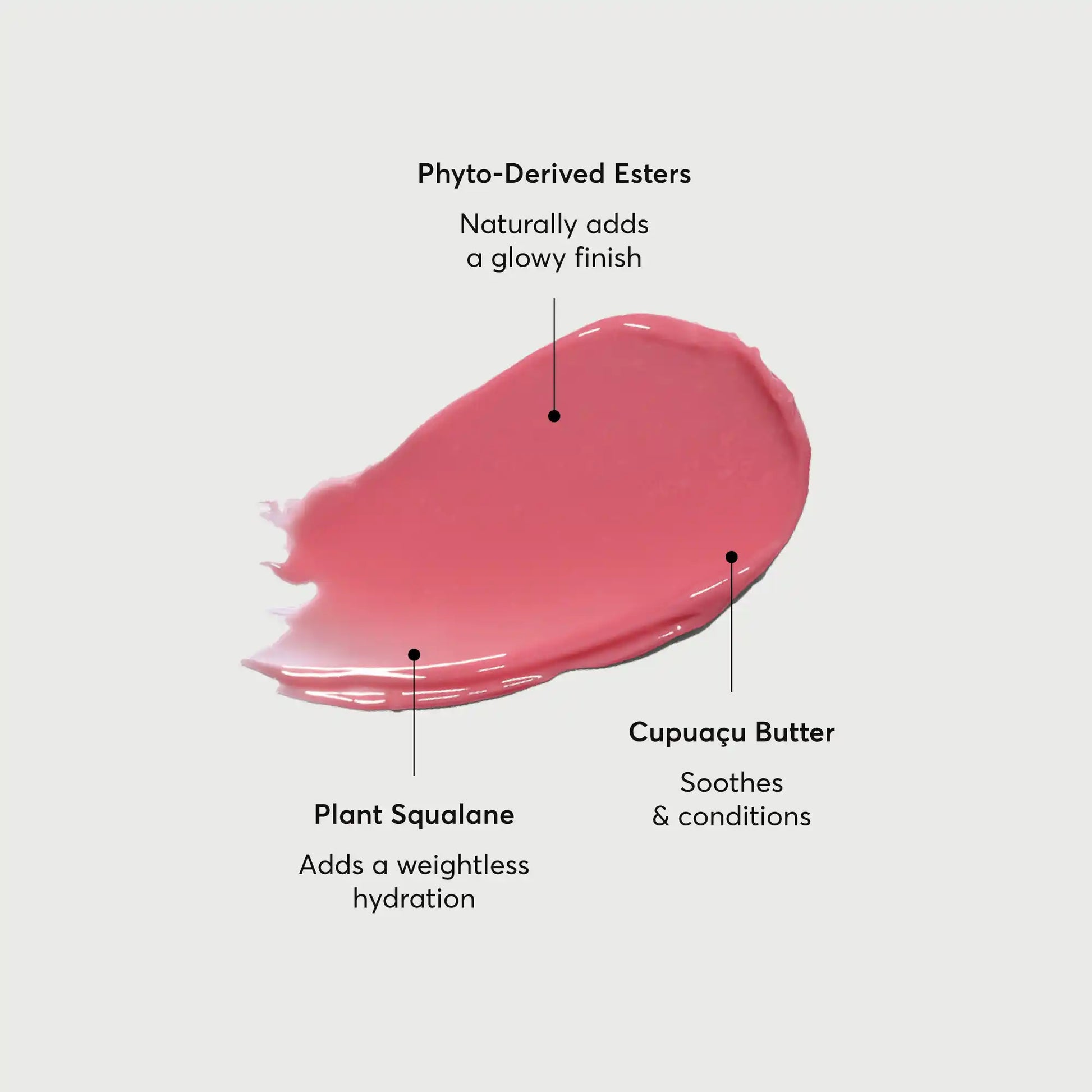 phyto-glow-lip-balm-petal-u5 NATR-60067-Alt-Images-Phyto-Glow-Lip-Balm-Petal-01.webp