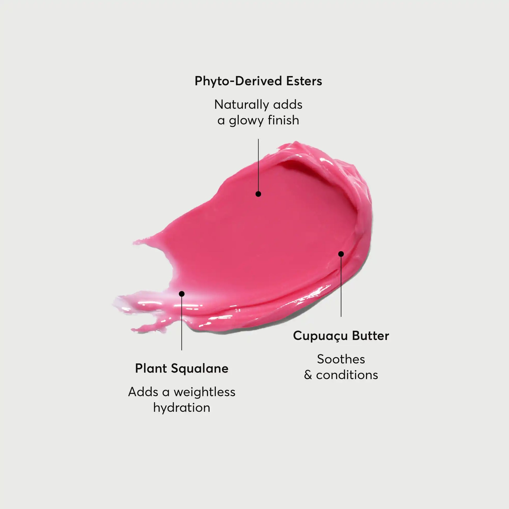 phyto-glow-lip-balm-camellia-q5 NATR-60075-Alt-Images-Phyto-Glow-Lip-Balm-Camellia-01.webp